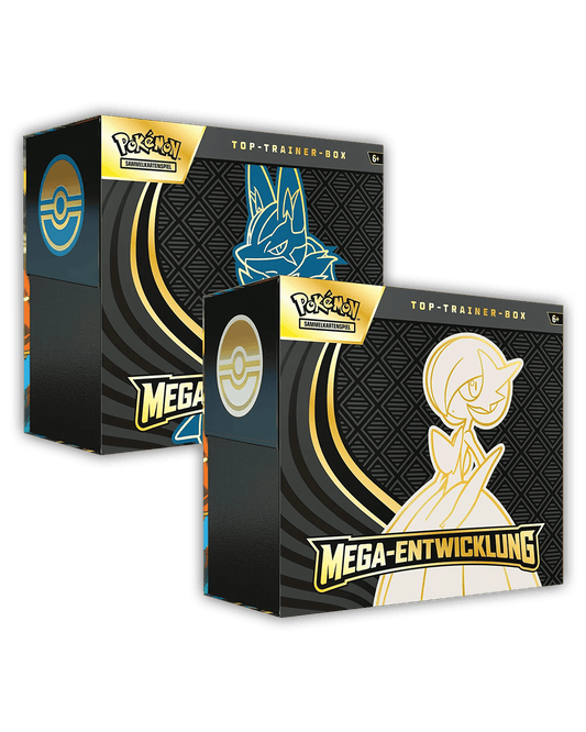Pokemon Mega Entwicklung TTB 🇩🇪